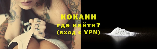 стаф Нефтегорск