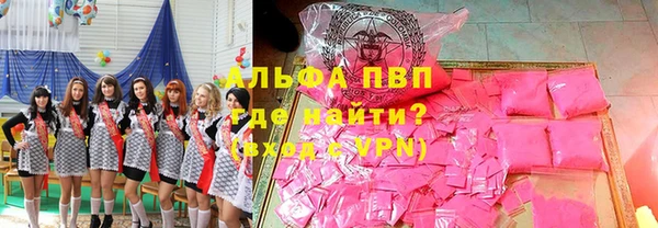 стаф Нефтегорск