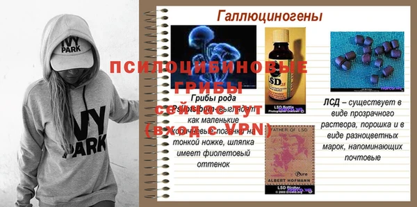 альфа пвп Чекалин