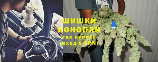 стаф Чердынь