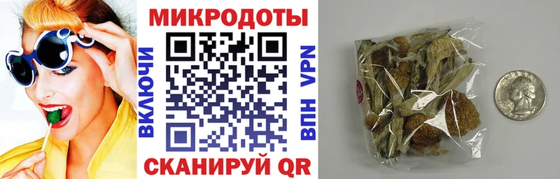 Псилоцибиновые грибы Cubensis  дарнет шоп  Электросталь 