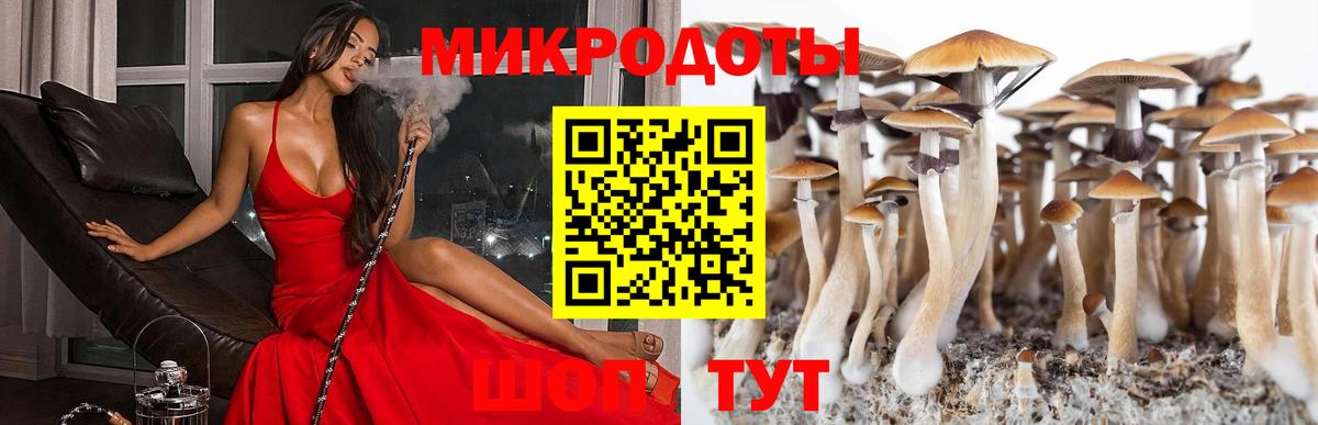 Псилоцибиновые грибы Cubensis Электросталь
